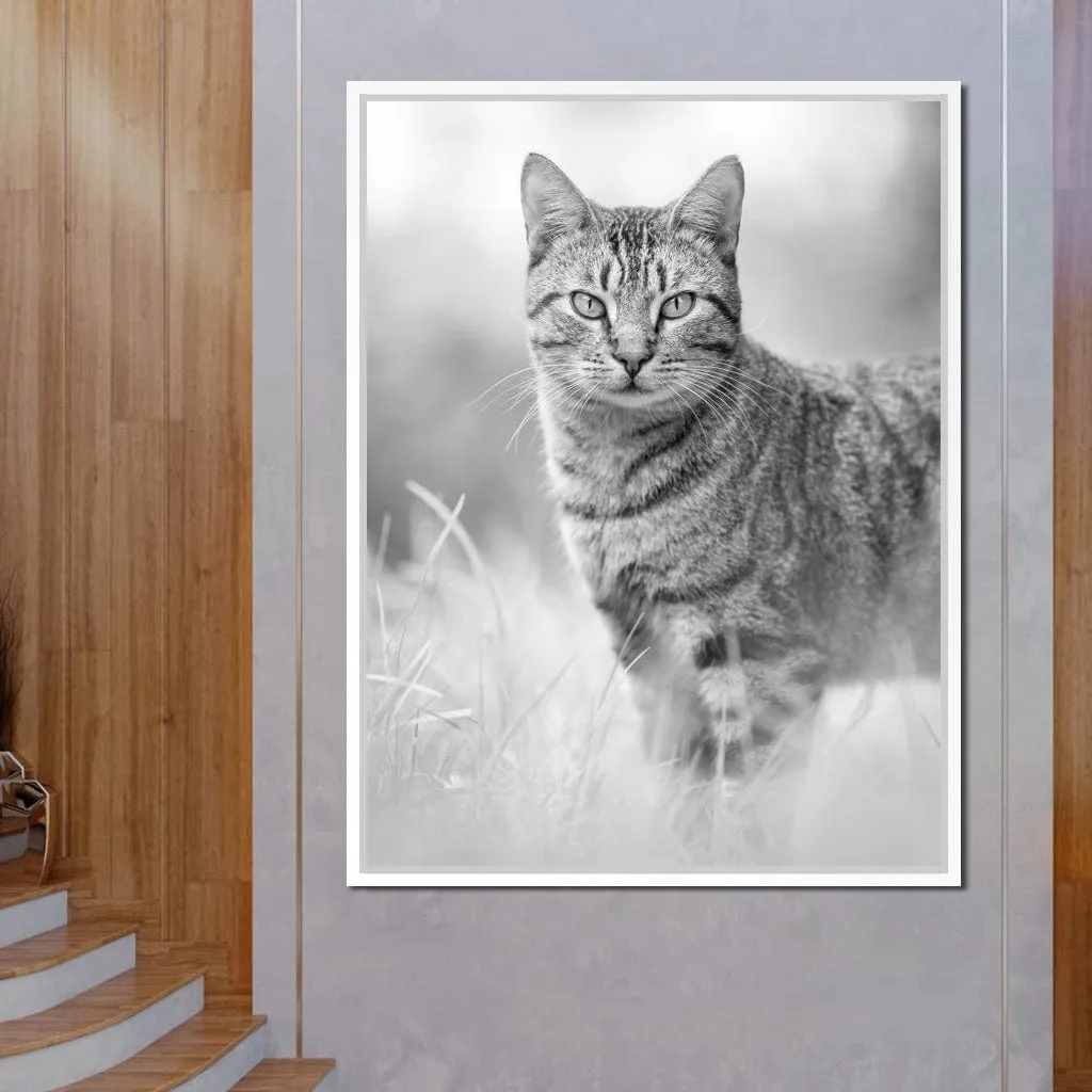 Black & White Kitty Cat - Ben Heine