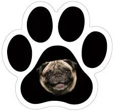 Breed Mini Paw Magnets