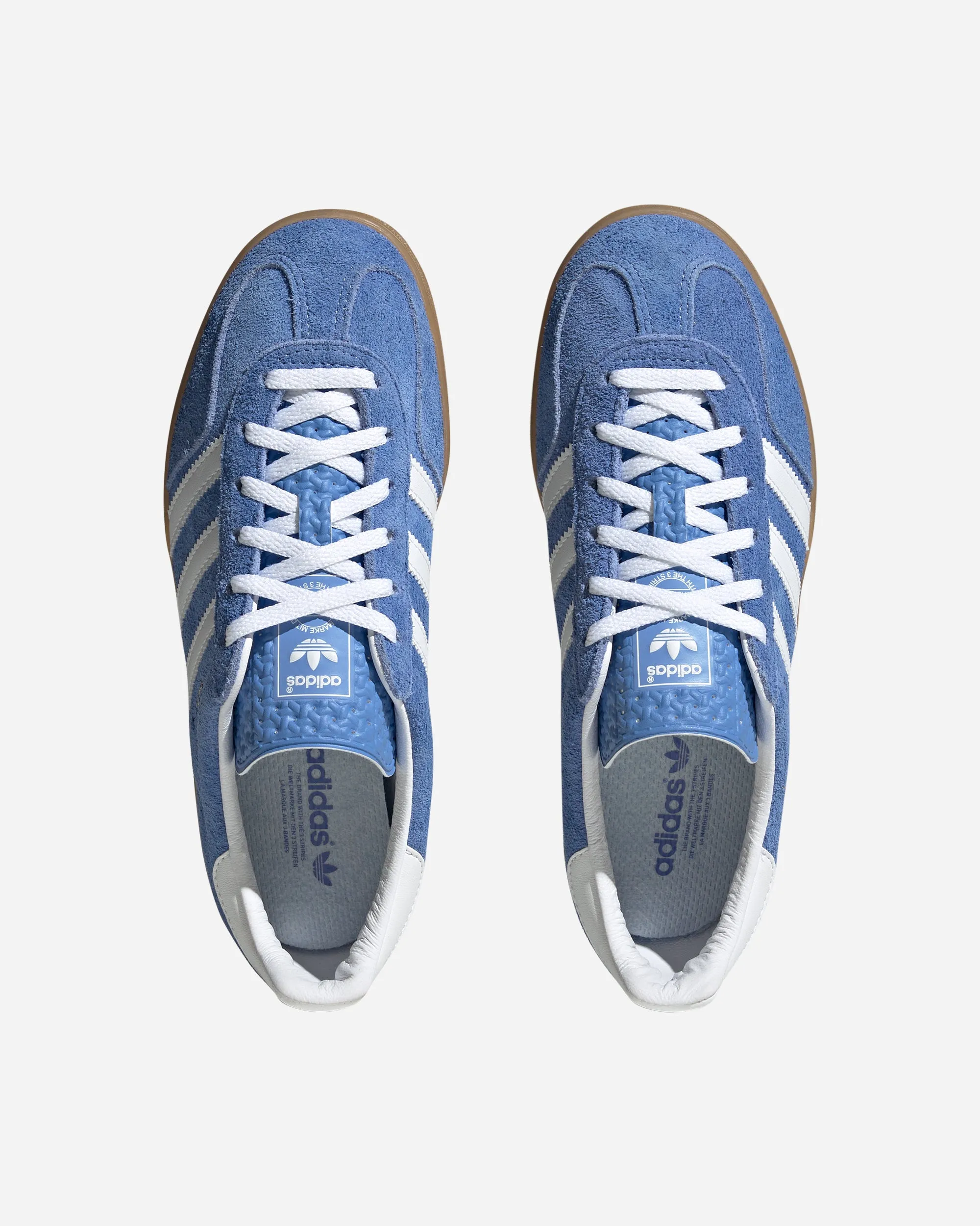 Gazelle Indoor