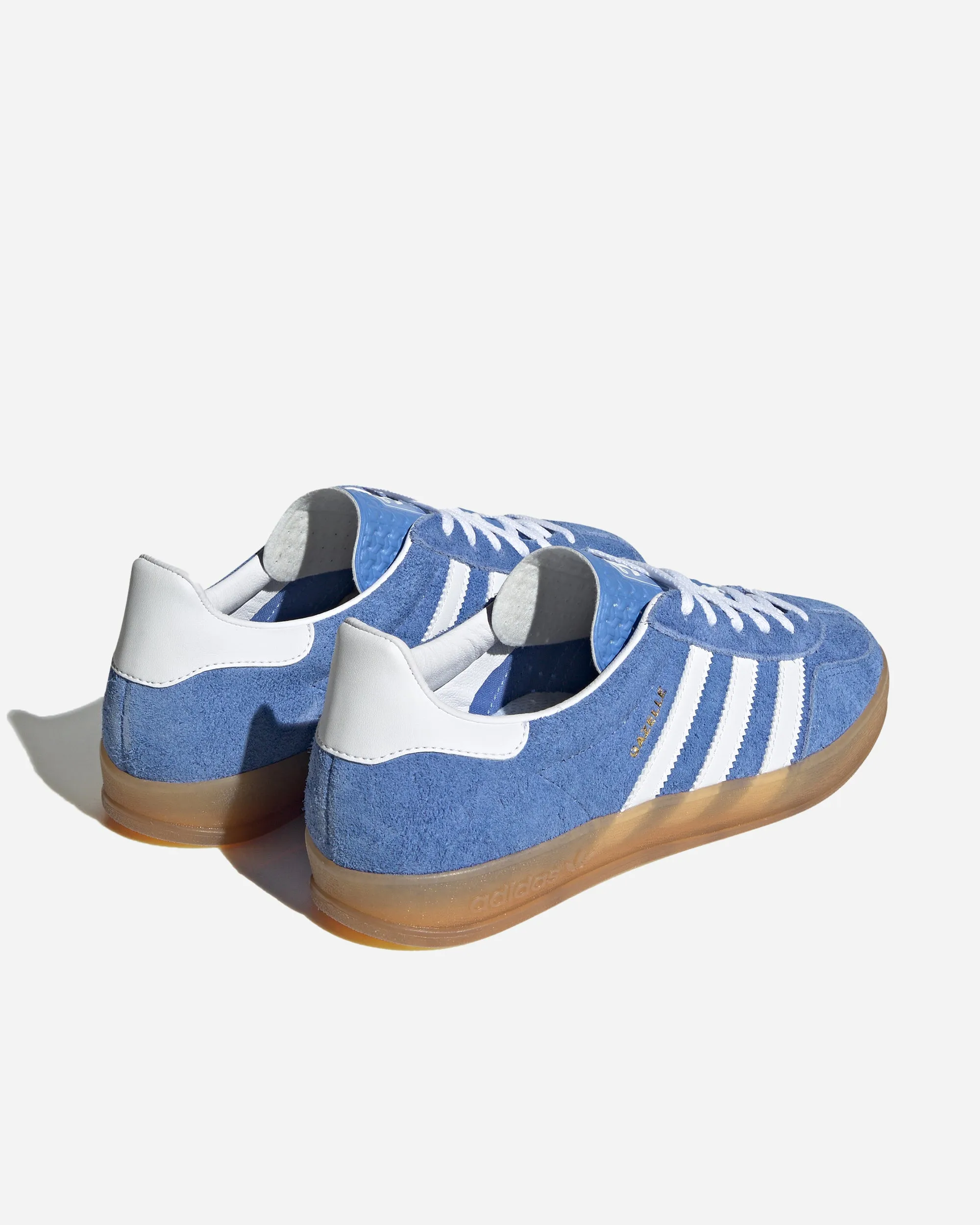 Gazelle Indoor